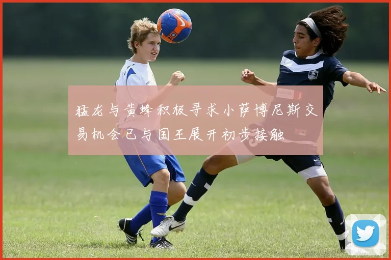 猛龙与黄蜂积极寻求小萨博尼斯交易机会已与国王展开初步接触