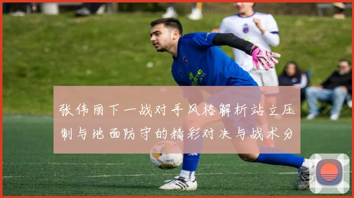 张伟丽下一战对手风格解析站立压制与地面防守的精彩对决与战术分析