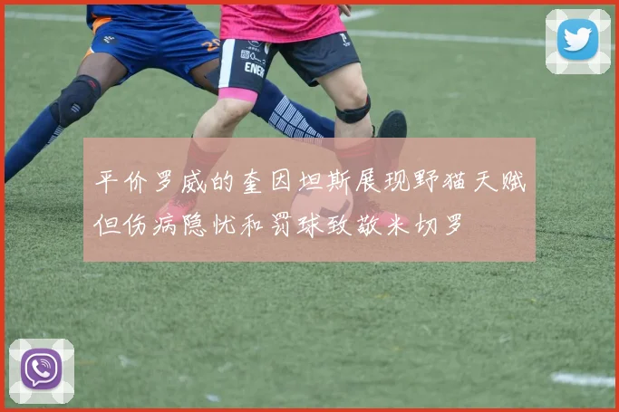 平价罗威的奎因坦斯展现野猫天赋但伤病隐忧和罚球致敬米切罗